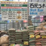 シロアリ駆除・予防に消石灰は効く?床下の乾燥や生石灰との違いについても解説